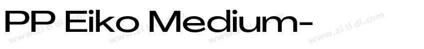 PP Eiko Medium字体转换 PP Eiko Medium字体转换